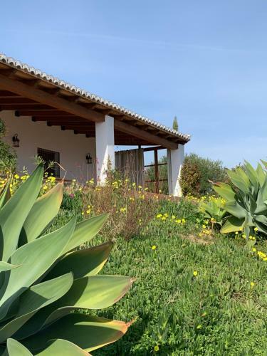 Rosas Cantares: Casa Siri
