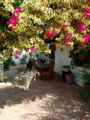 Bed & Breakfast Casa Miguel