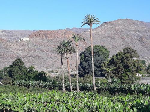 Apartamento Los Olivos