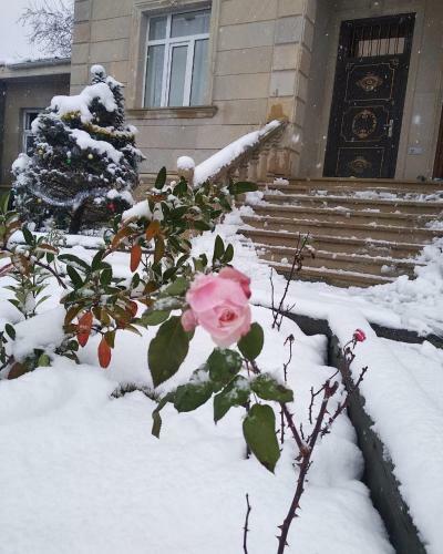 All Seasons Villa Gabala