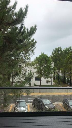 Julia's Valamar Beach Apartment