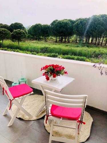 Hanah Apartment - Gjiri Lalzit