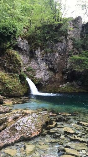 Hostal Guesthouse Lulash Zelna