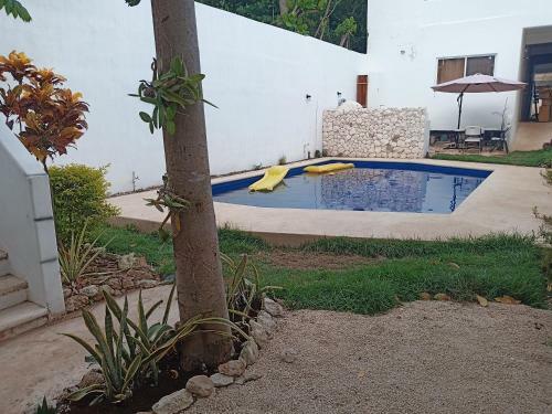Apartamento Casa Gekos Iguana