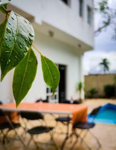 Mansion Huayacan Cancun