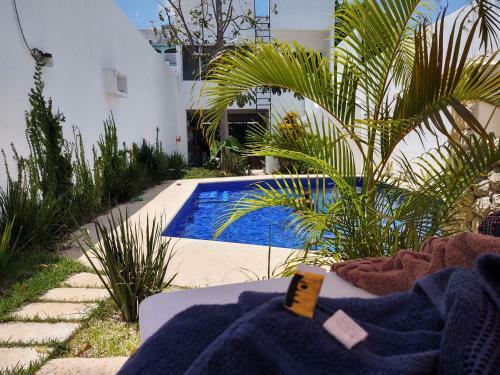 Apartamento Casa Gekos Cuijas