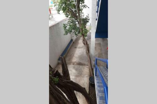 Apartamento Departamento Privado Tipo Estudio En Canc�n