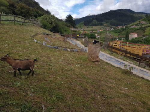 Apartamento La Hacienda Del Campo