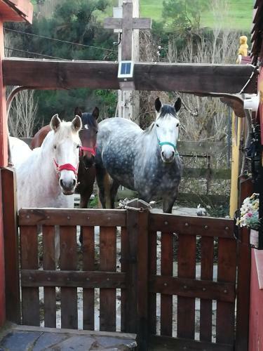 Apartamento La Hacienda Del Campo