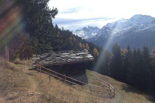 Chalet 3 Chambres Proche De Verbier (sarreyer)