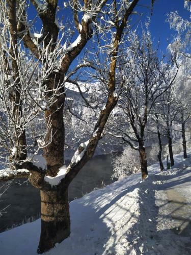 Alpenblick Apartment Gastein