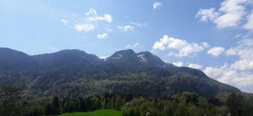Apartamento Ferienwohnungen Haus Unterberger