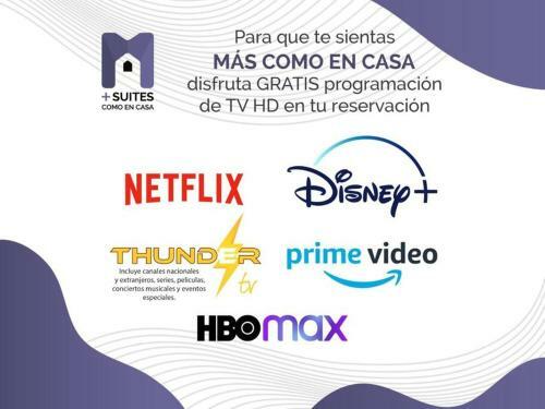 Apartamento +ms +loft Inmejorable +c�modo +internet 119f