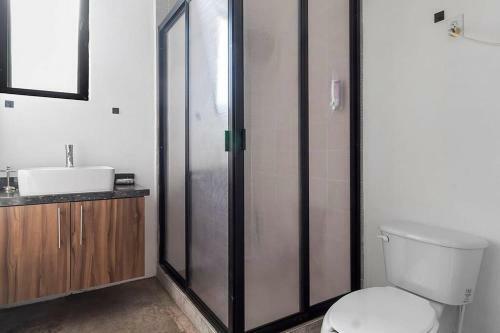 Apartamento +ms +loft Inmejorable +c�modo +internet 119f