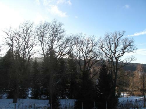 Apartm�ny Imladris, Hotel U Pralesa
