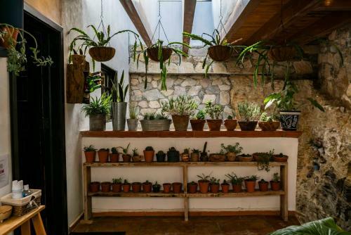Hostal Villa Mosaico - Luxury Lofts