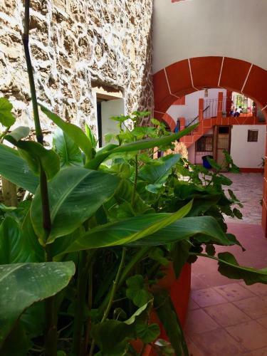 Hotel Hacienda Encantada