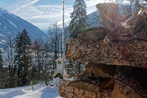 Apartamento Landhaus Tenne