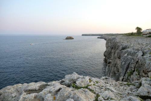 Apartamento Frente Al Mar En Portocolom