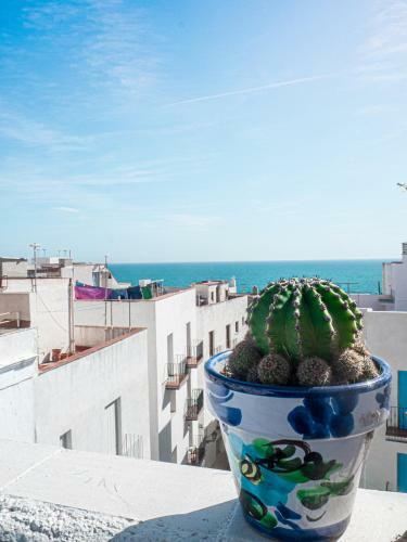 Apartamento Camar�a Castillo 2�