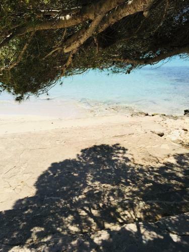 Apartamento Soleado Portocolom