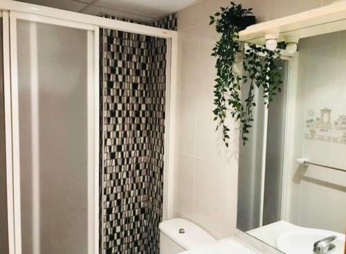 Apartamento Loft Con Encanto