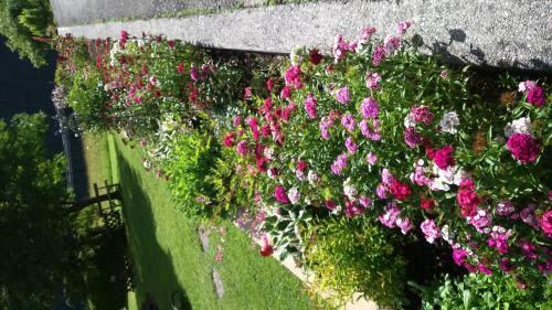 Hostal G�stehaus Bergland