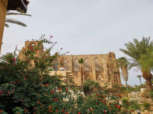 Hostal Golden Palms Guest House & Cafe