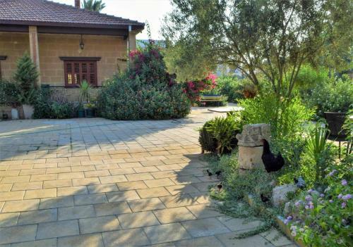 Hostal Golden Palms Guest House & Cafe