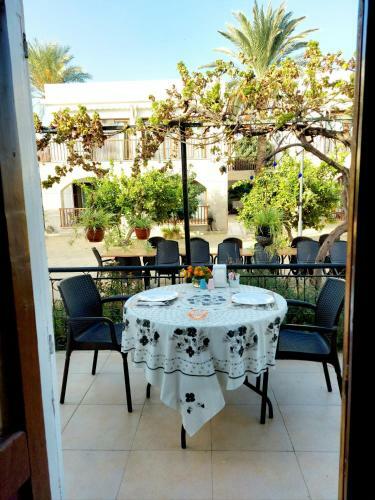 Hostal Golden Palms Guest House & Cafe