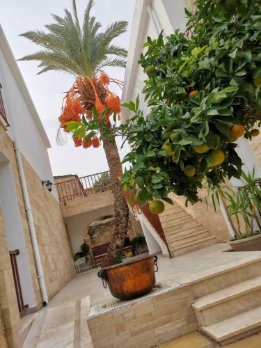 Hostal Golden Palms Guest House & Cafe