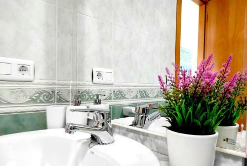 Apartamento Mar Pe��scola