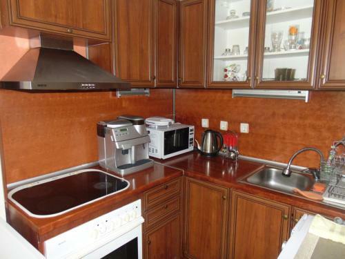 Aleksandrovska Burgas Apartment