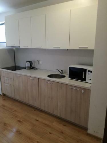 Apartament Zlatina1