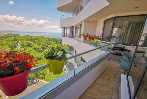 Luxury Apartments Alix
