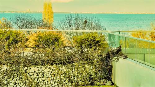 Luxury Apartments Alix