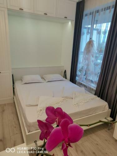 Luxury Apartments Alix