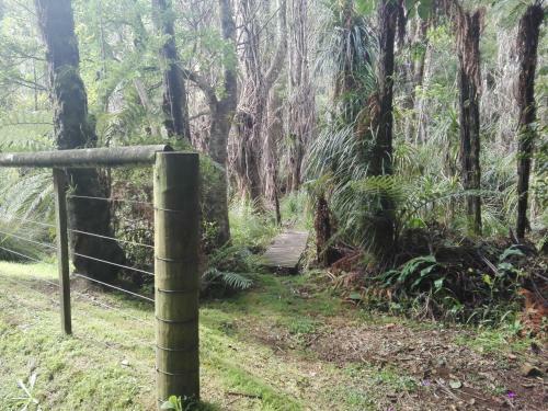 Apartamento Taranaki Experience