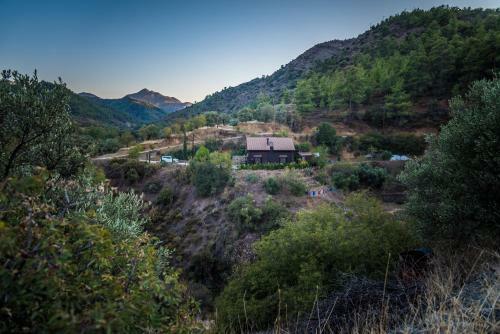 *2 Bdr Log House /mountains/queen Bed/fireplace