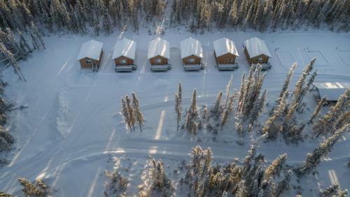 Dolly Varden Cabin @ Lower Kenai Lodging