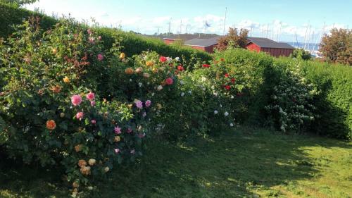 Schl�sschen Am Meer