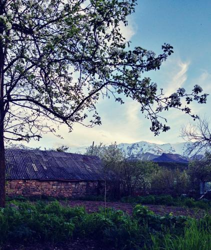 Hostal Tatev Guest House