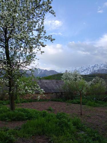 Hostal Tatev Guest House