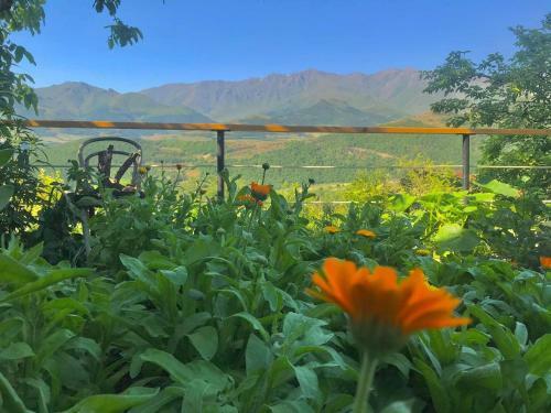 Bed & Breakfast Ana-maria Bnb