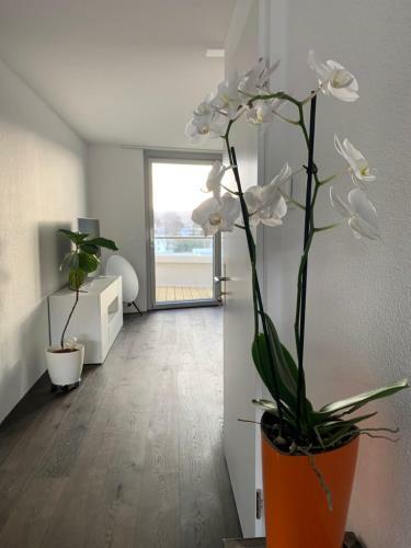 Central & Elegant Room In Biel