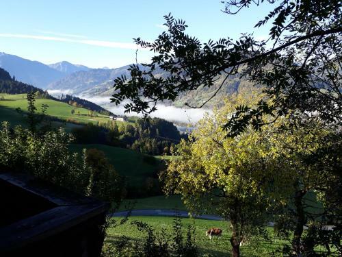 Apartamento Landhaus Katharina