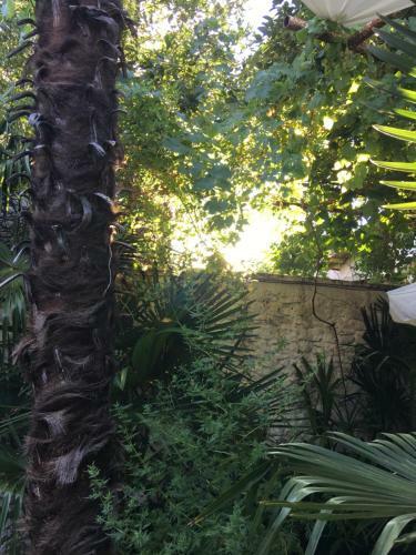 Apartamento Palmera