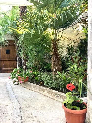Apartamento Palmera