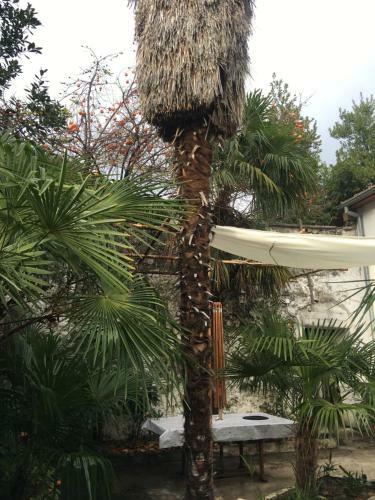 Apartamento Palmera