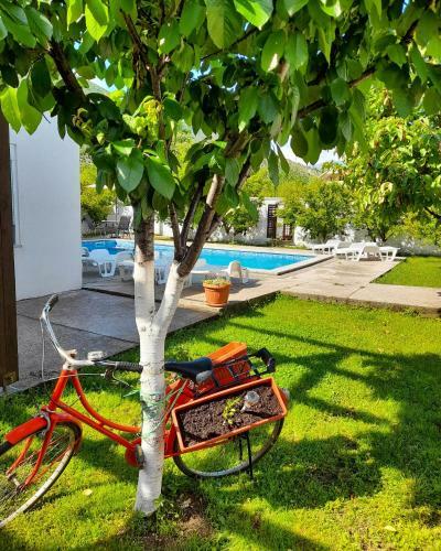 Villa Vacation House Vila Guma Rastani Mostar